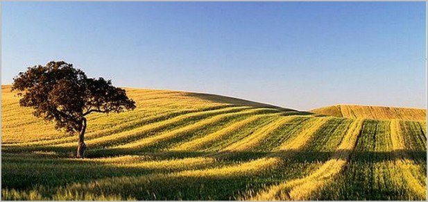 thealentejo