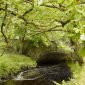 Wicklow: provavelmente, o lugar mais verde da Irlanda